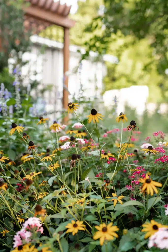 Events at The TImekeeper Stay & Gardens